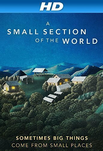 A Small Section of the World