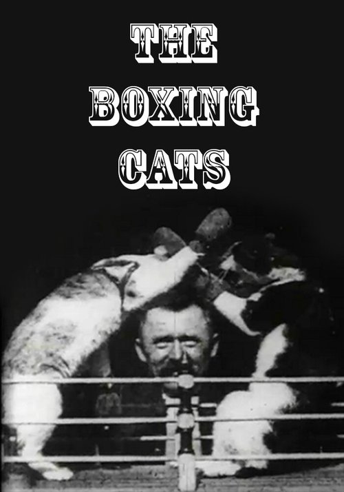 Кошачий бокс / The Boxing Cats (Prof. Welton's)