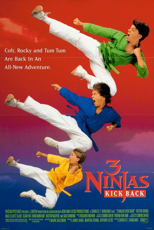 Три ниндзя наносят ответный удар / 3 Ninjas Kick Back