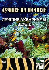 Animal Planet: Лучшие аквариумы земли / Animal Planet