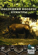 Animal Planet: Последний носорог Суматры / Animal Planet: The Last Rhino