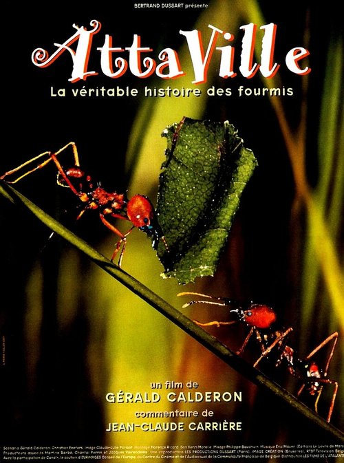 Attaville, la véritable histoire des fourmis