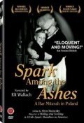 Бар-мицва в Польше / Spark Among the Ashes: A Bar Mitzvah in Poland