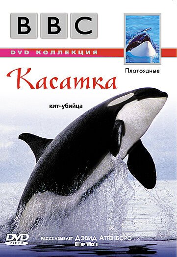 BBC: Касатка / Killer Whale