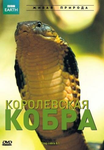 BBC: Королевская кобра / King Cobra and I