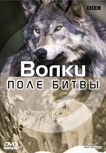 BBC: Поле битвы: Волки / Wolf Battlefield