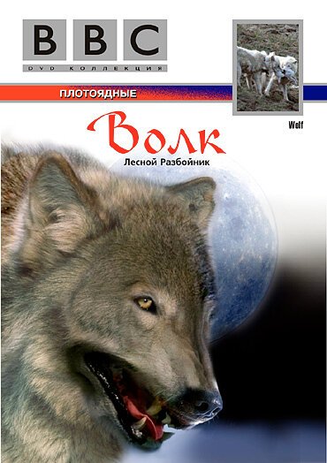 BBC: Волк / Wolf