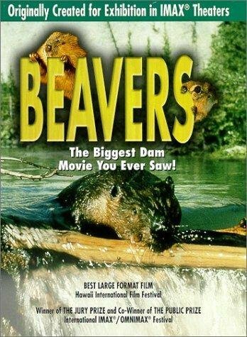 Beavers