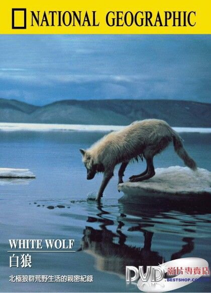 Белый волк / National Geographic: White Wolf