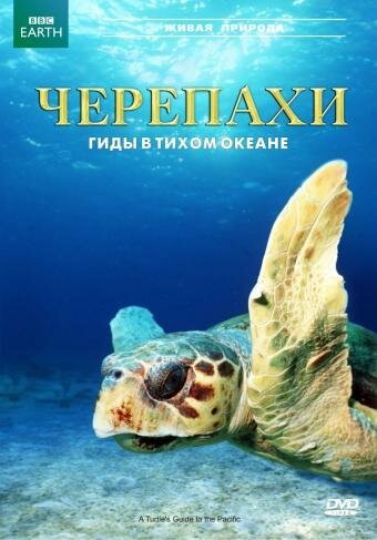 Черепахи: Гиды в Тихом океане / A Turtle's Guide to the Pacific