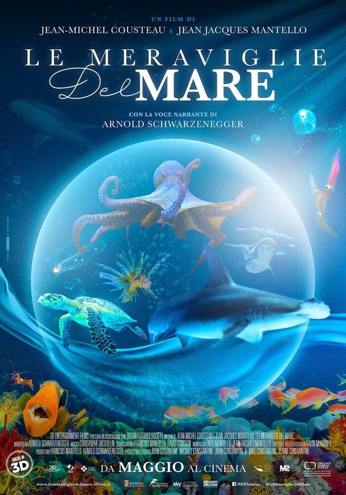 Чудеса моря в 3D / Wonders of the Sea 3D