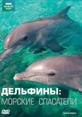 Дельфины: Морские спасатели / Saved by Dolphins