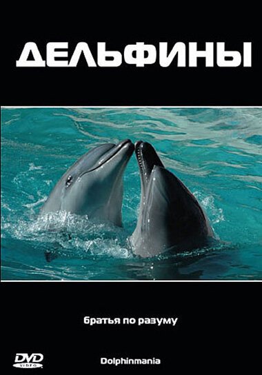 Дельфины / Dolphinmania