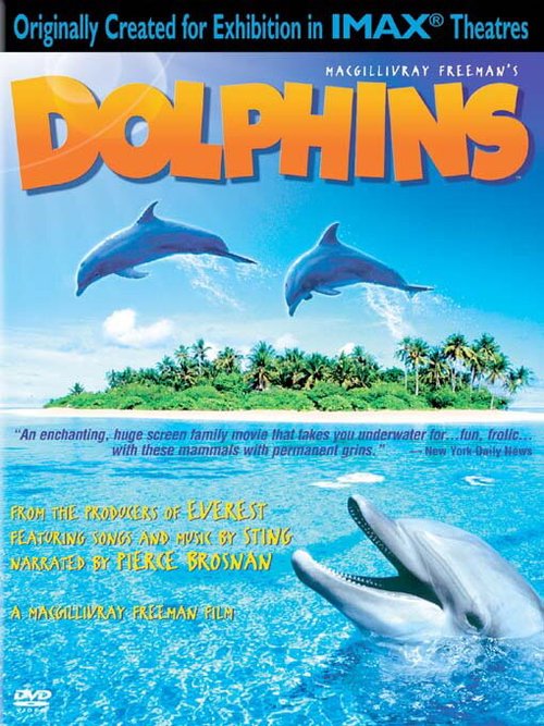 Дельфины / Dolphins