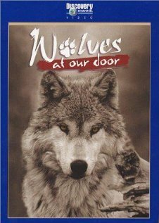 Discovery: Волки / Wolves at Our Door