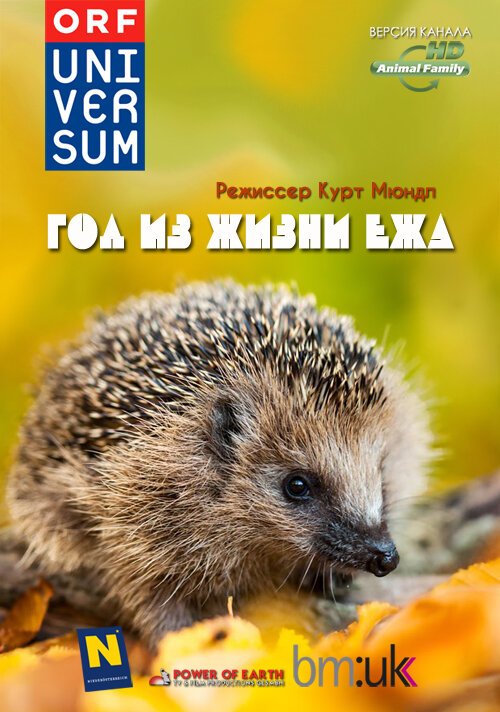 Год из жизни ежа / The Year of the Hedgehog