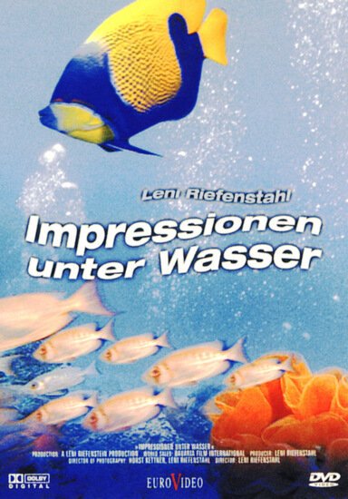 Коралловый рай / Impressionen unter Wasser