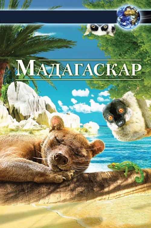 Мадагаскар 3D / Madagascar 3D