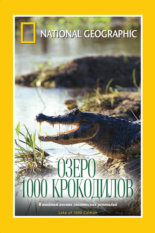 НГО: Озеро 1000 крокодилов / Lake of a Thousand Caiman