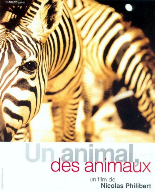 Один зверь, много зверей / Un animal, des animaux