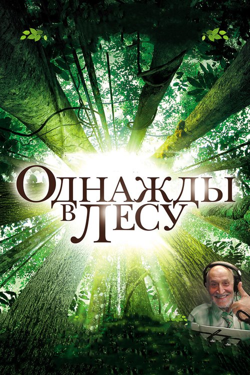 Однажды в лесу / Once in the Forest