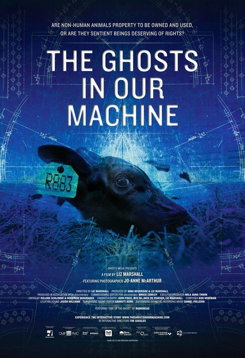 Призраки в нашей машине / The Ghosts in Our Machine