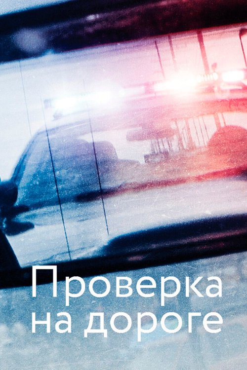 Проверка на дороге / Traffic Stop