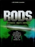 RODS: Mysterious Objects Among Us!