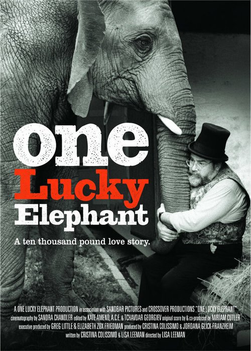 Счастливая слониха / One Lucky Elephant