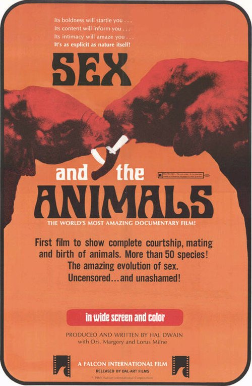 Sex and the Animals