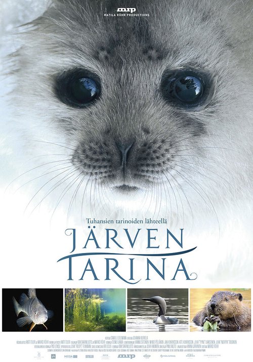 Сказка озера / Järven tarina