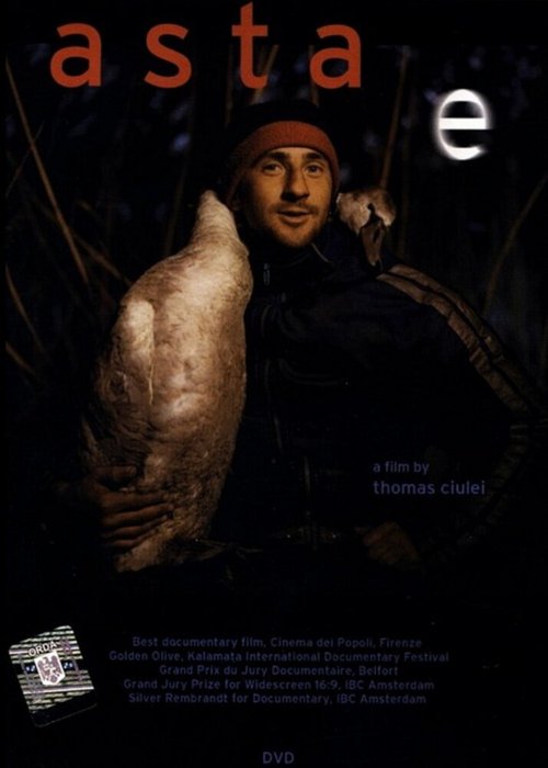 То, что это / Asta e