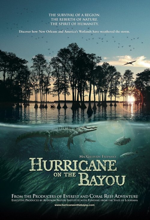 Ураган на Байу / Hurricane on the Bayou