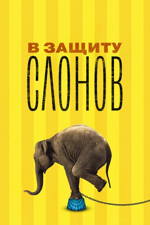 В защиту слонов / An Apology to Elephants