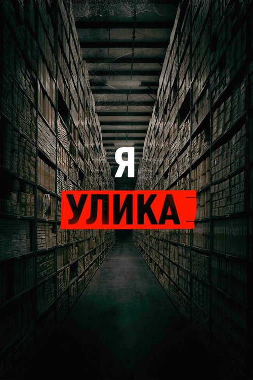 Я — улика / I Am Evidence