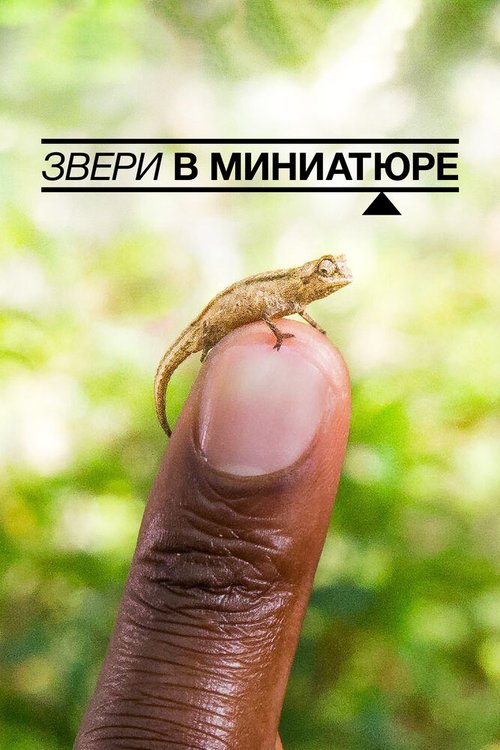 Звери в миниатюре / Super Small Animals