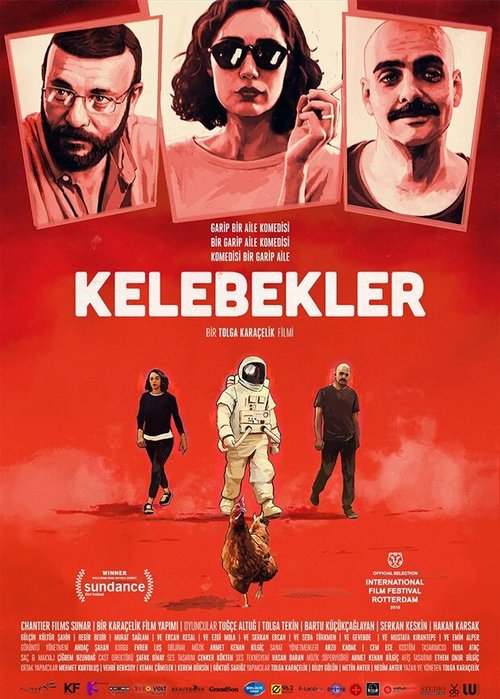 Бабочки / Kelebekler