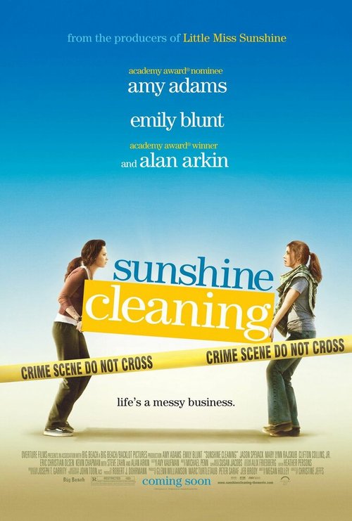 Чистка до блеска / Sunshine Cleaning