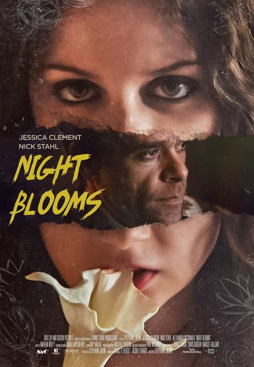 Цветы ночи / Night Blooms