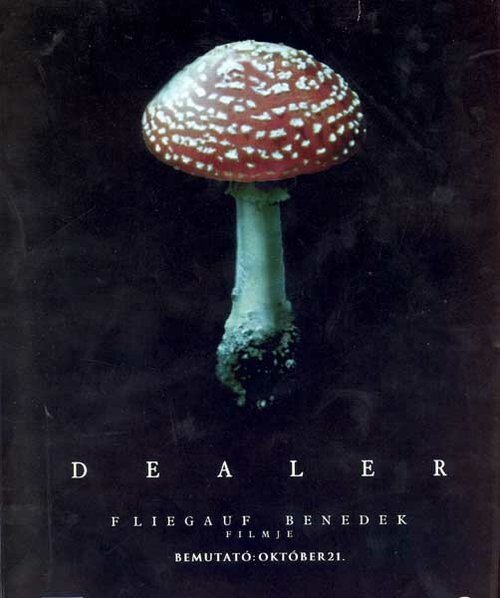 Дилер / Dealer