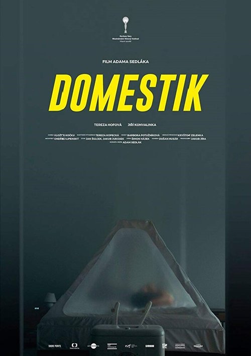 Домашний режим / Domestik