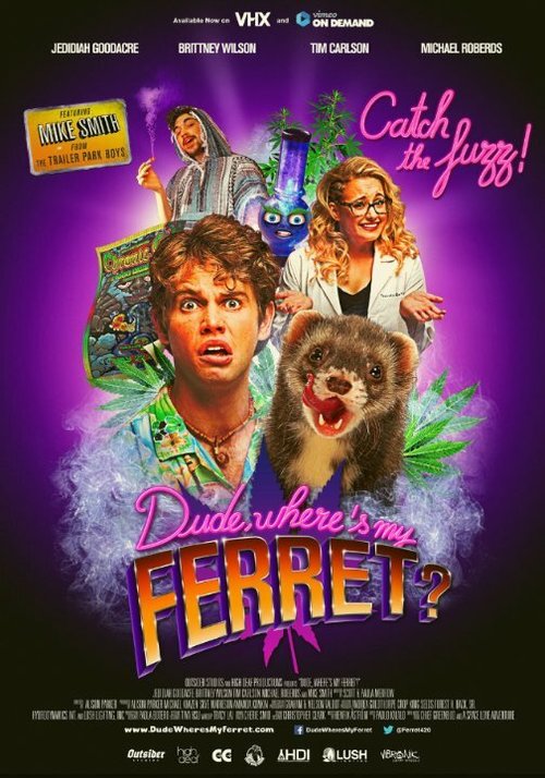 Dude, Where's My Ferret?