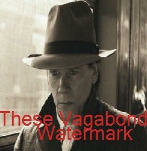 Эти туфли Vagabond / These Vagabond Shoes