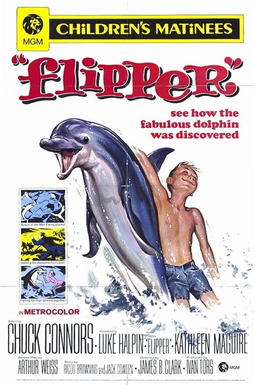 Флиппер / Flipper