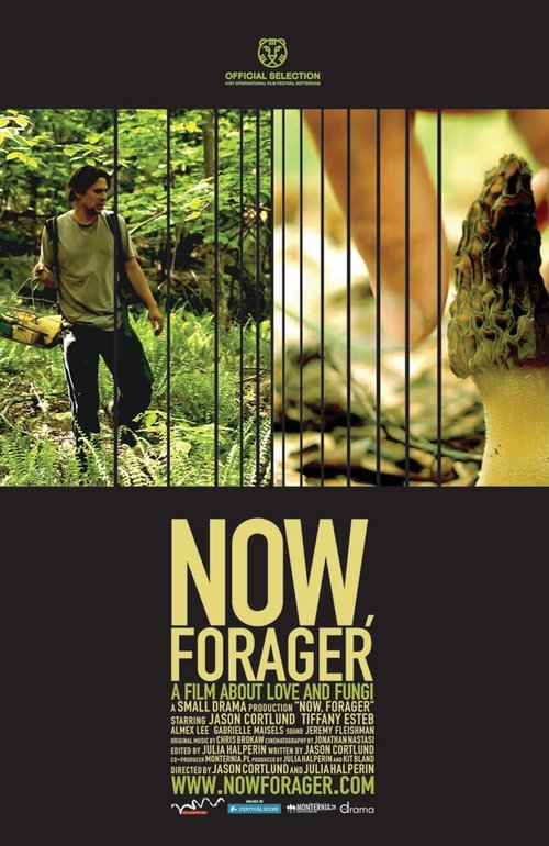 Грибники / Now, Forager