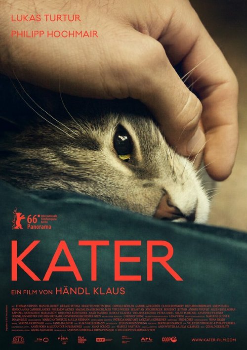 Кот / Kater