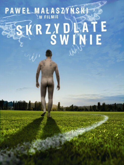 Крылатые свиньи / Skrzydlate swinie