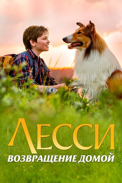 Лесси. Возвращение домой / Lassie - Eine abenteuerliche Reise