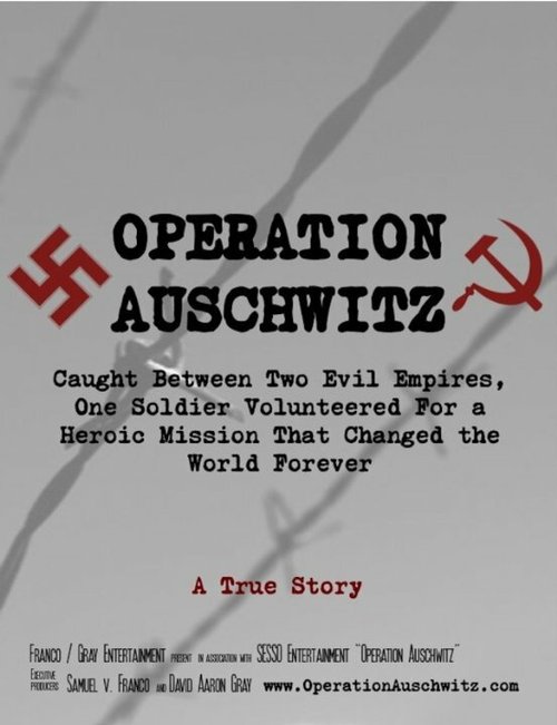 Operation Auschwitz