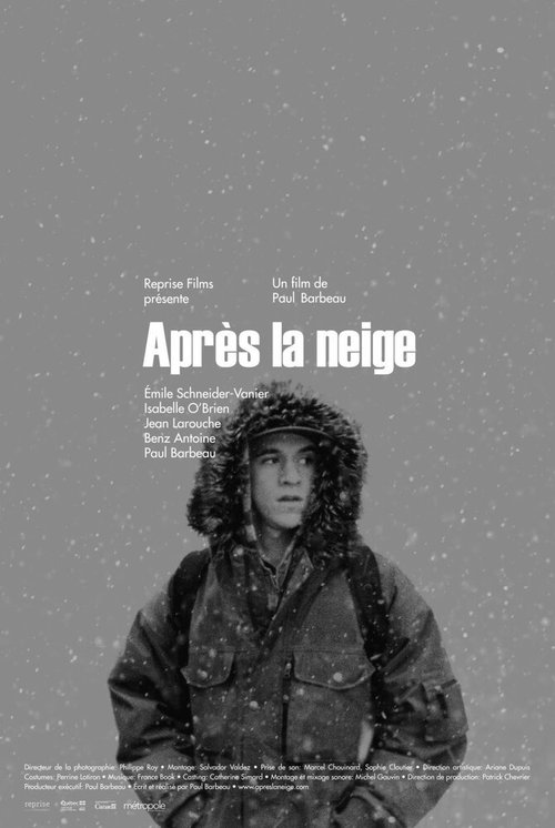 После снегопада / Après la neige